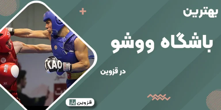 بهترین باشگاه ووشو در قزوین